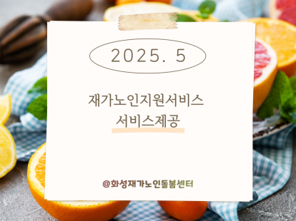 [재가노인지원서비스] 2025년 5월 지원현황